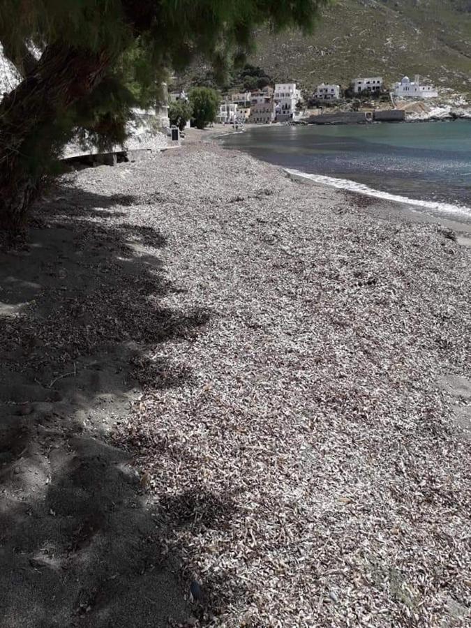 Kalymnos House